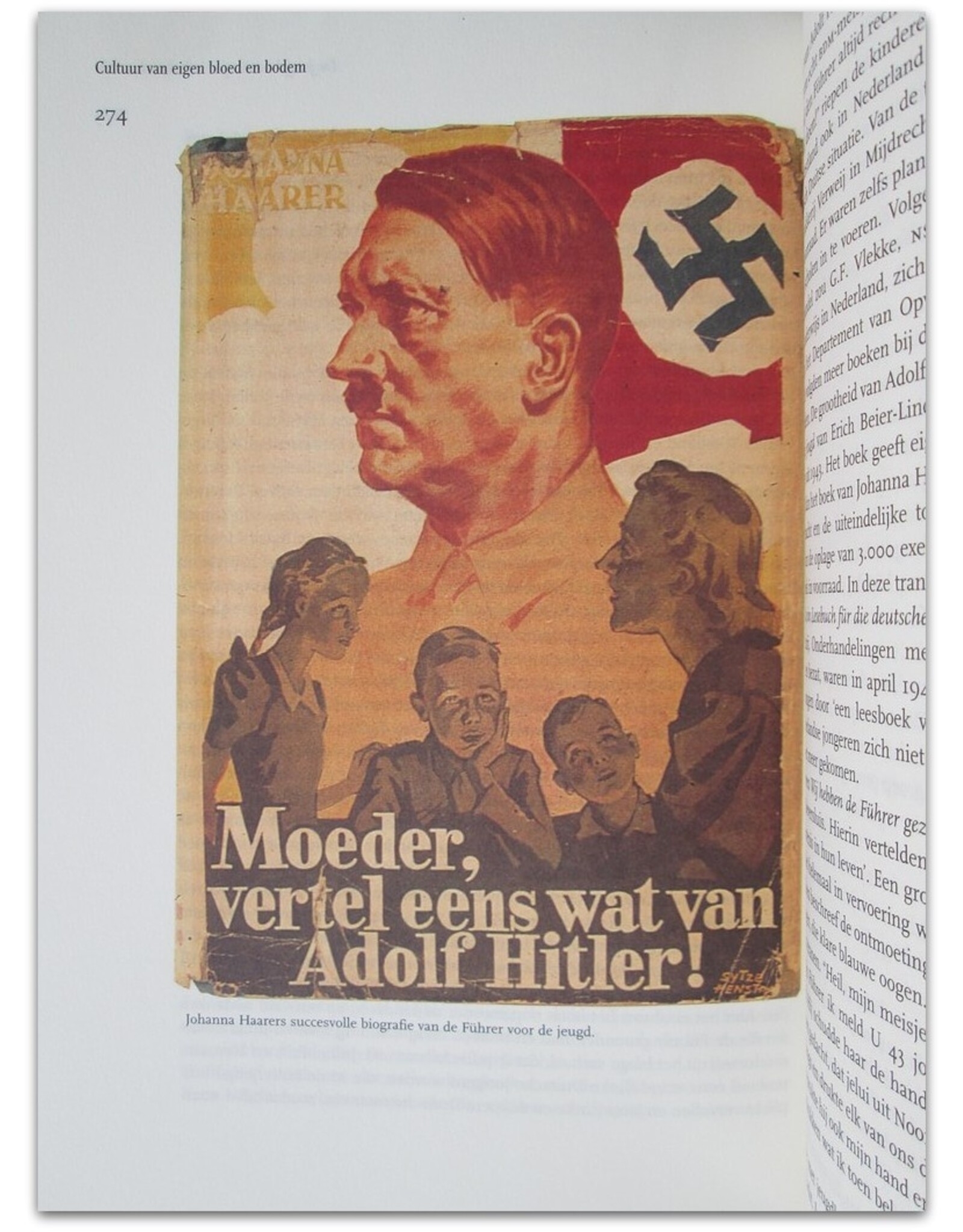 Gerard Groeneveld - Zwaard van de geest. Het bruine boek in Nederland 1921-1945