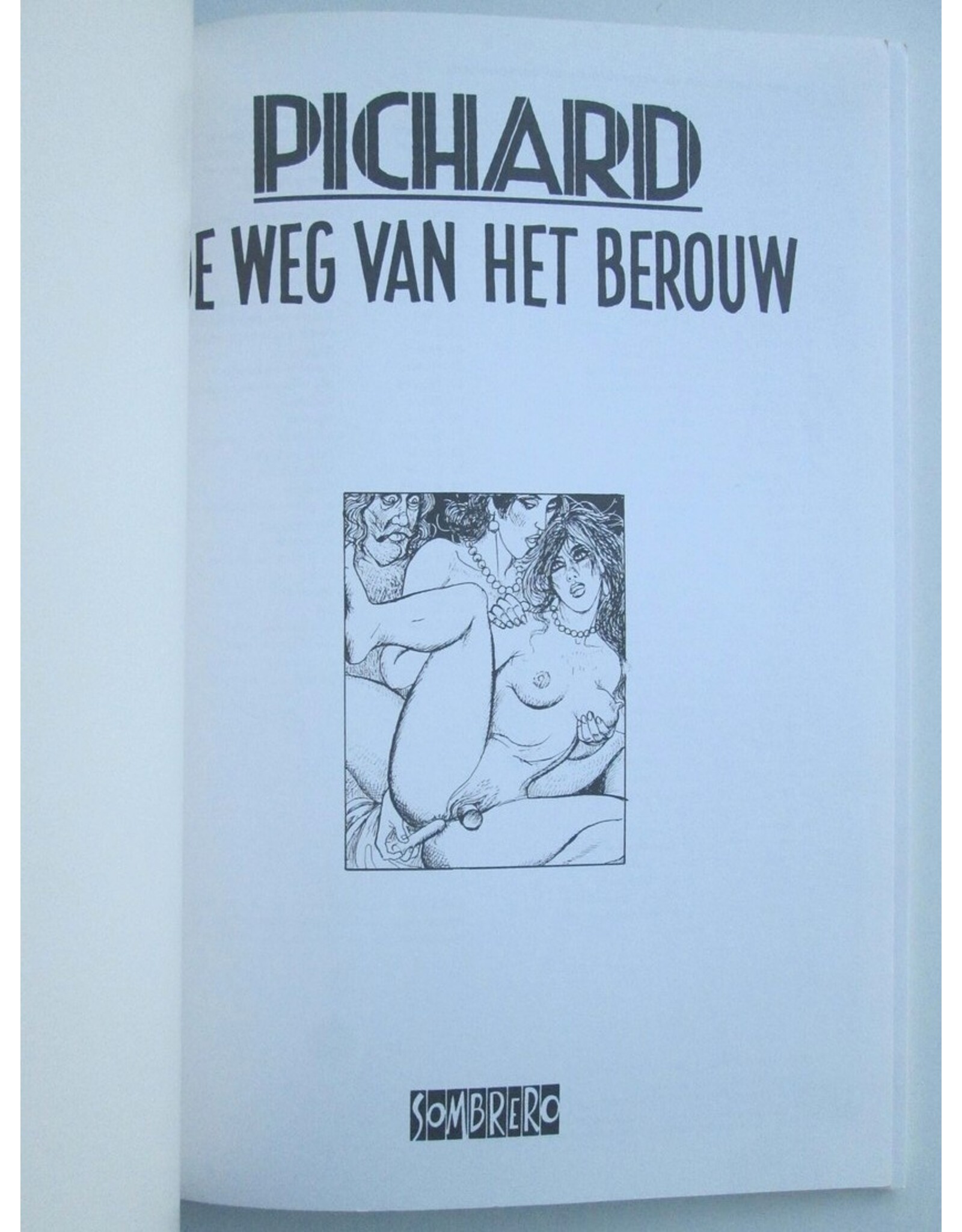 Georges Pichard - De weg van het berouw
