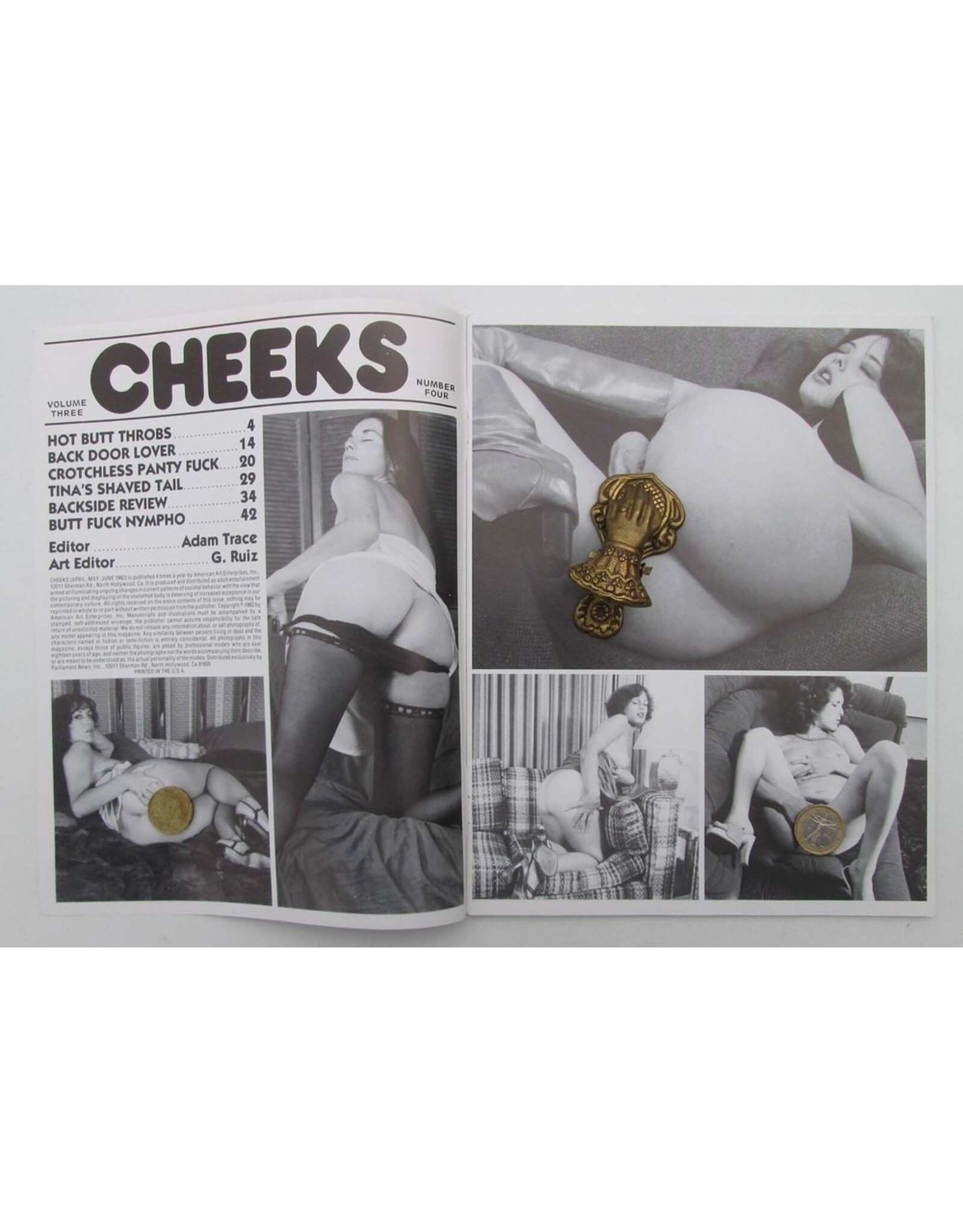Adam Trace [red.] - Cheeks Volume 3, Number 4