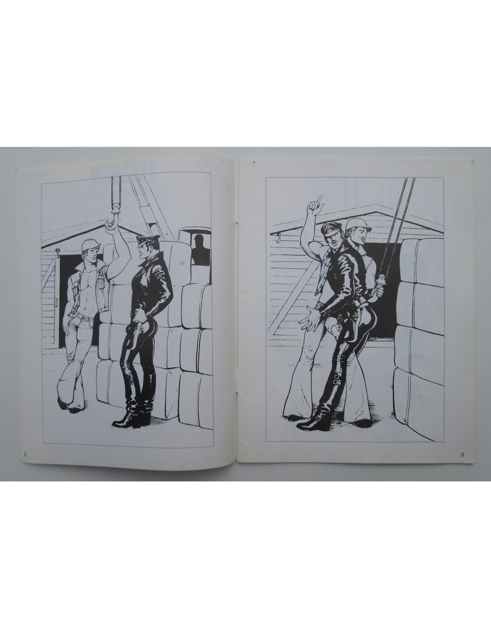 Tom of Finland - Kake 17: Loading Zone