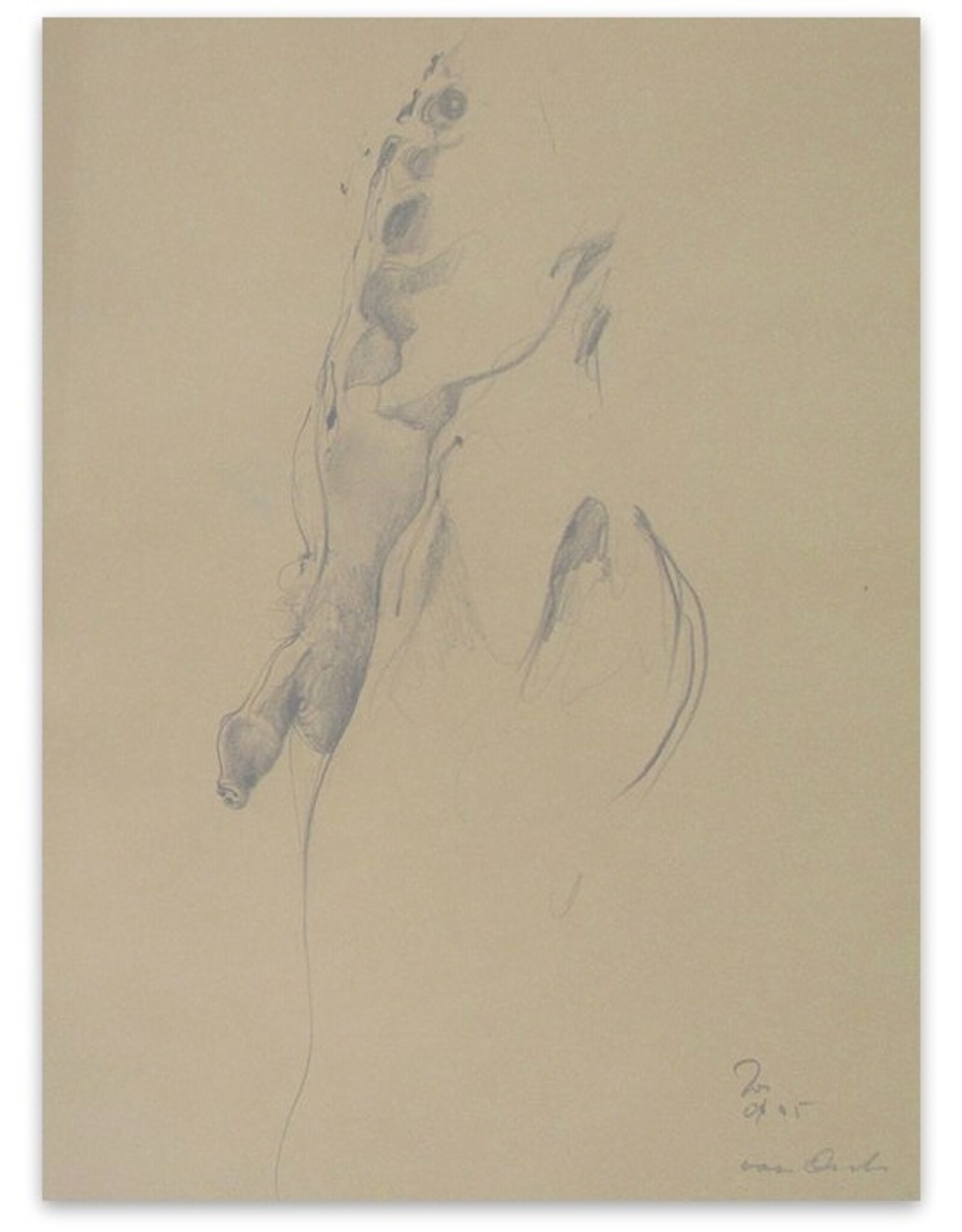 [Unknown artist] - Van Onder [Study of Male Nude]