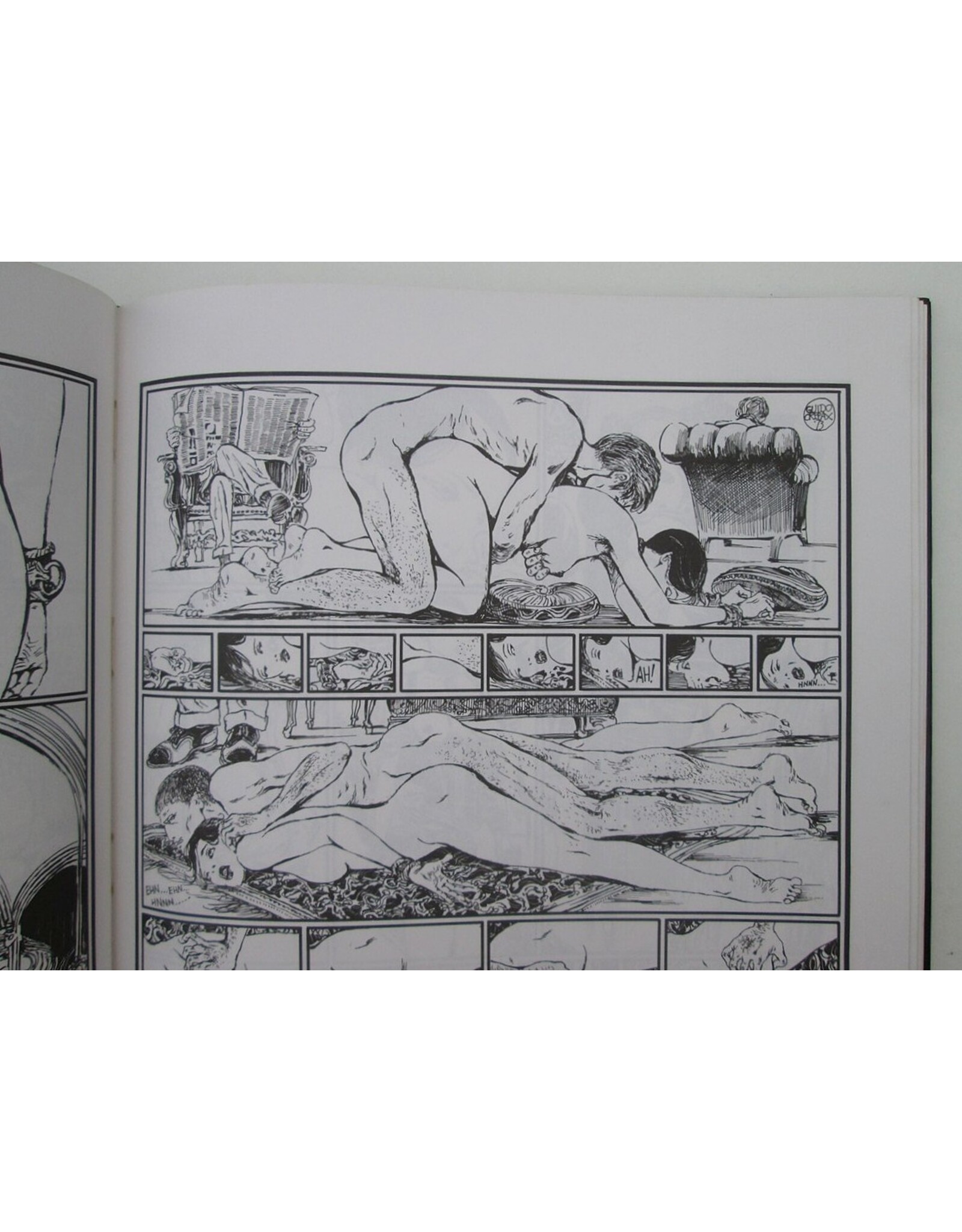 Guido Crepax - Histoire d'O: De zucht naar wilde strelingen