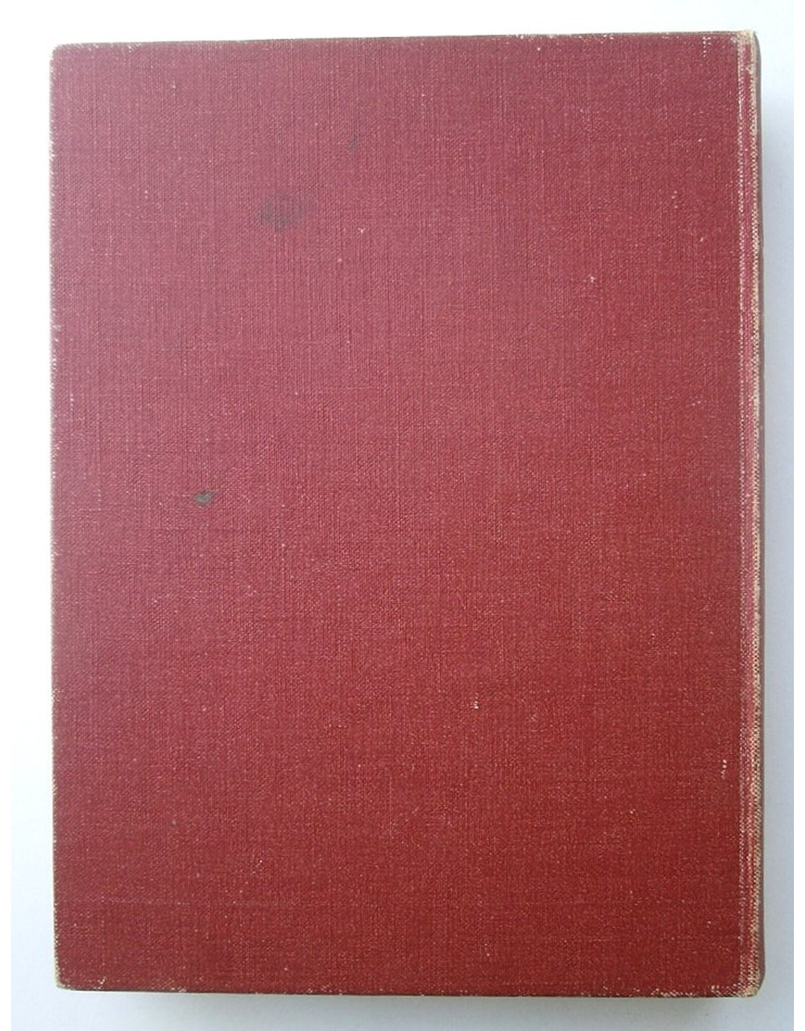 Edith Werkendam - De goddelijke zonde