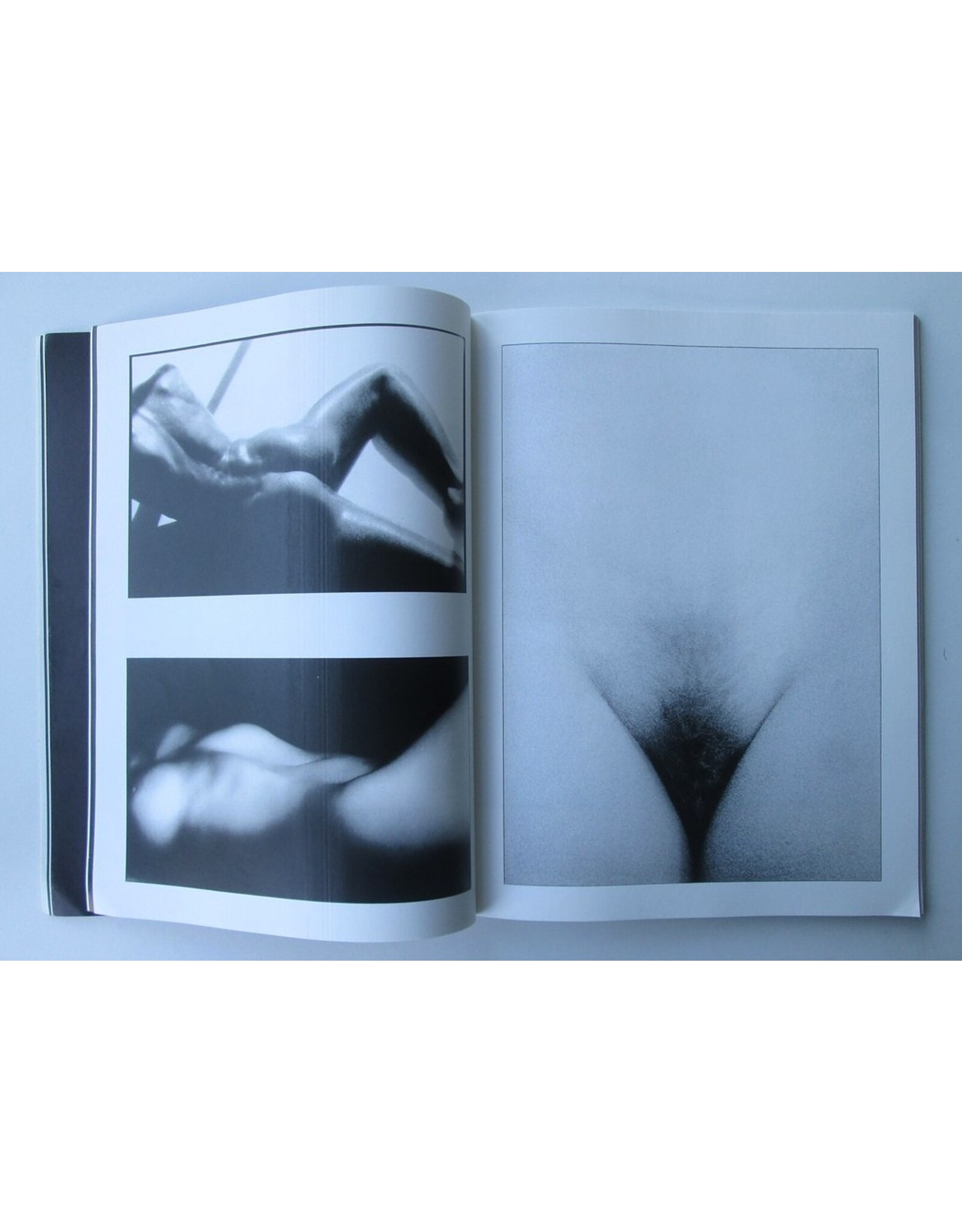 Contemporary American Erotic Photography