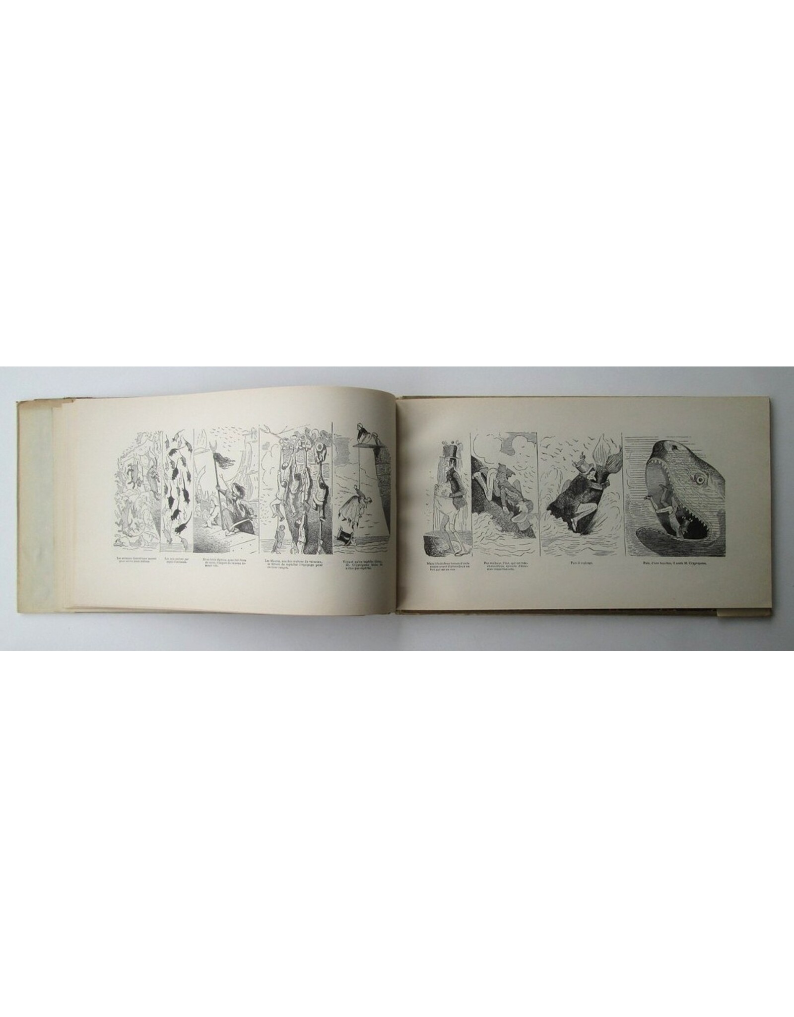 [Rodolphe Töpffer] - Histoire de M. Cryptogame. Par l'auteur de M. Jabot, de M. Crépin, du docteur Festus, etc., etc., etc.