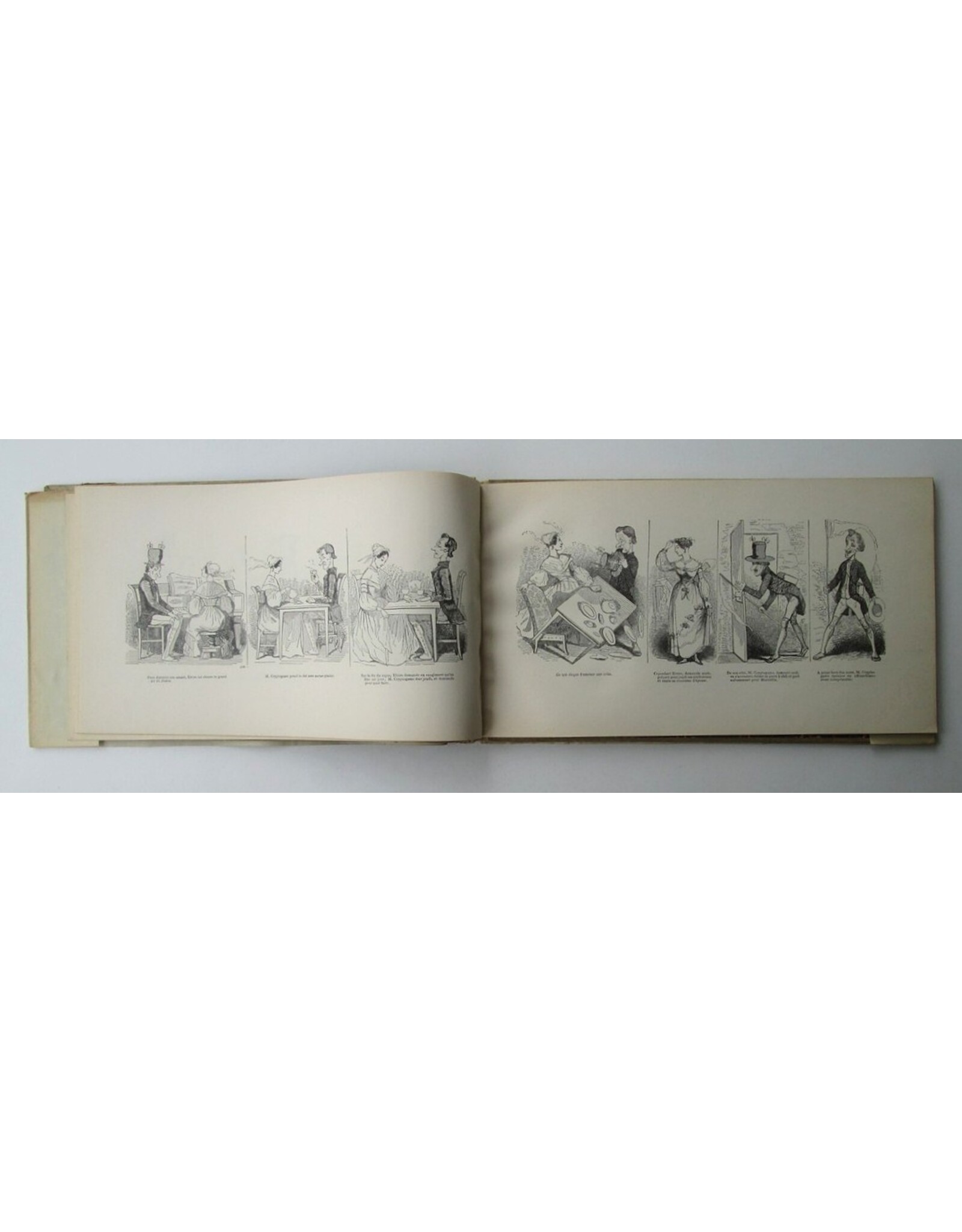 [Rodolphe Töpffer] - Histoire de M. Cryptogame. Par l'auteur de M. Jabot, de M. Crépin, du docteur Festus, etc., etc., etc.