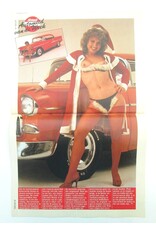 Peter Muller [ed.] - Aktueel Weekblad #82 [Van beroep Heks: Als huisvrouwen de bezemsteel berijden]