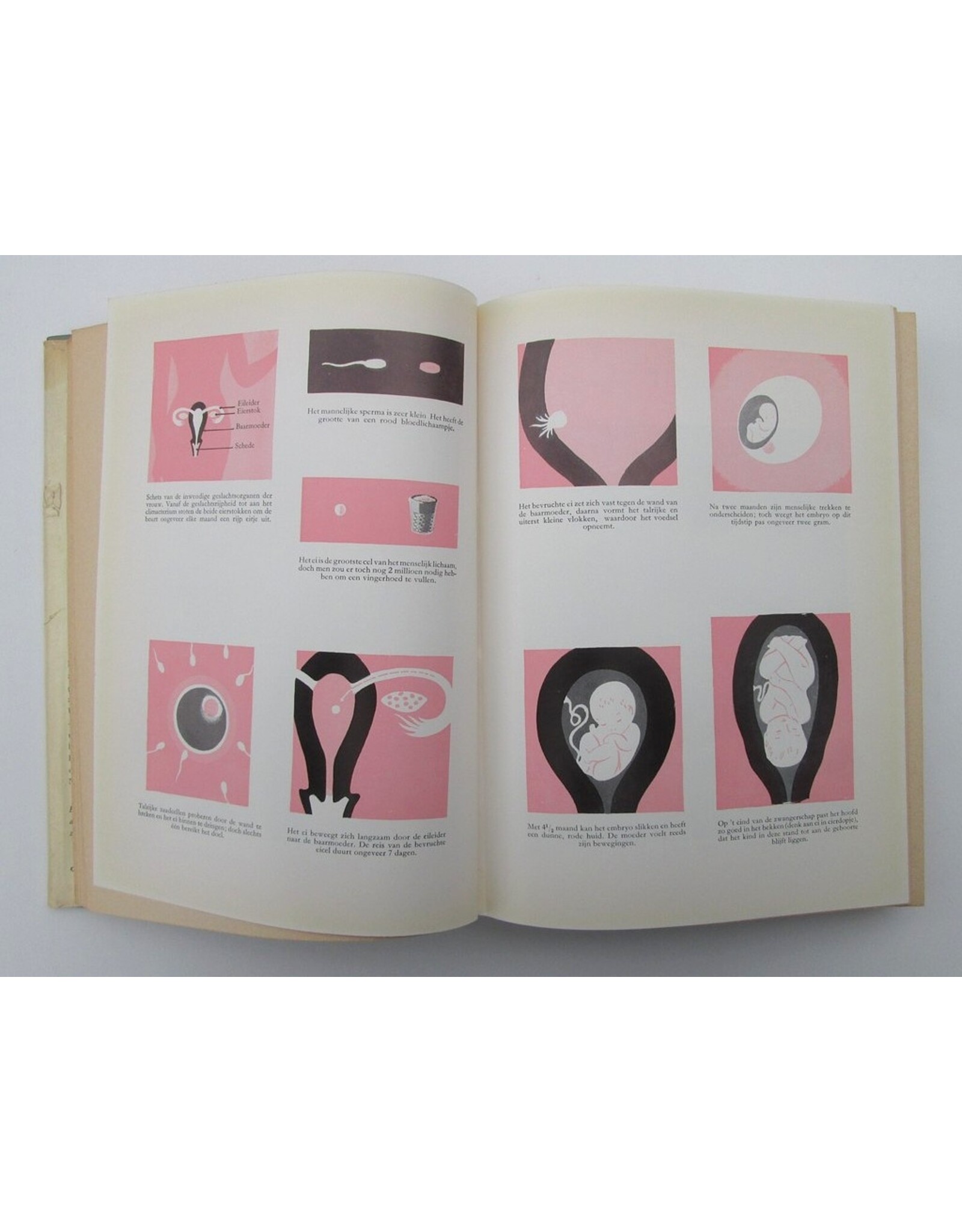 Philip C. Jeans - Het Gulden Baby Boek. Het boek voor moeder en kind. Bewerkt door J.C. Tummers, Kinderarts te Bussum