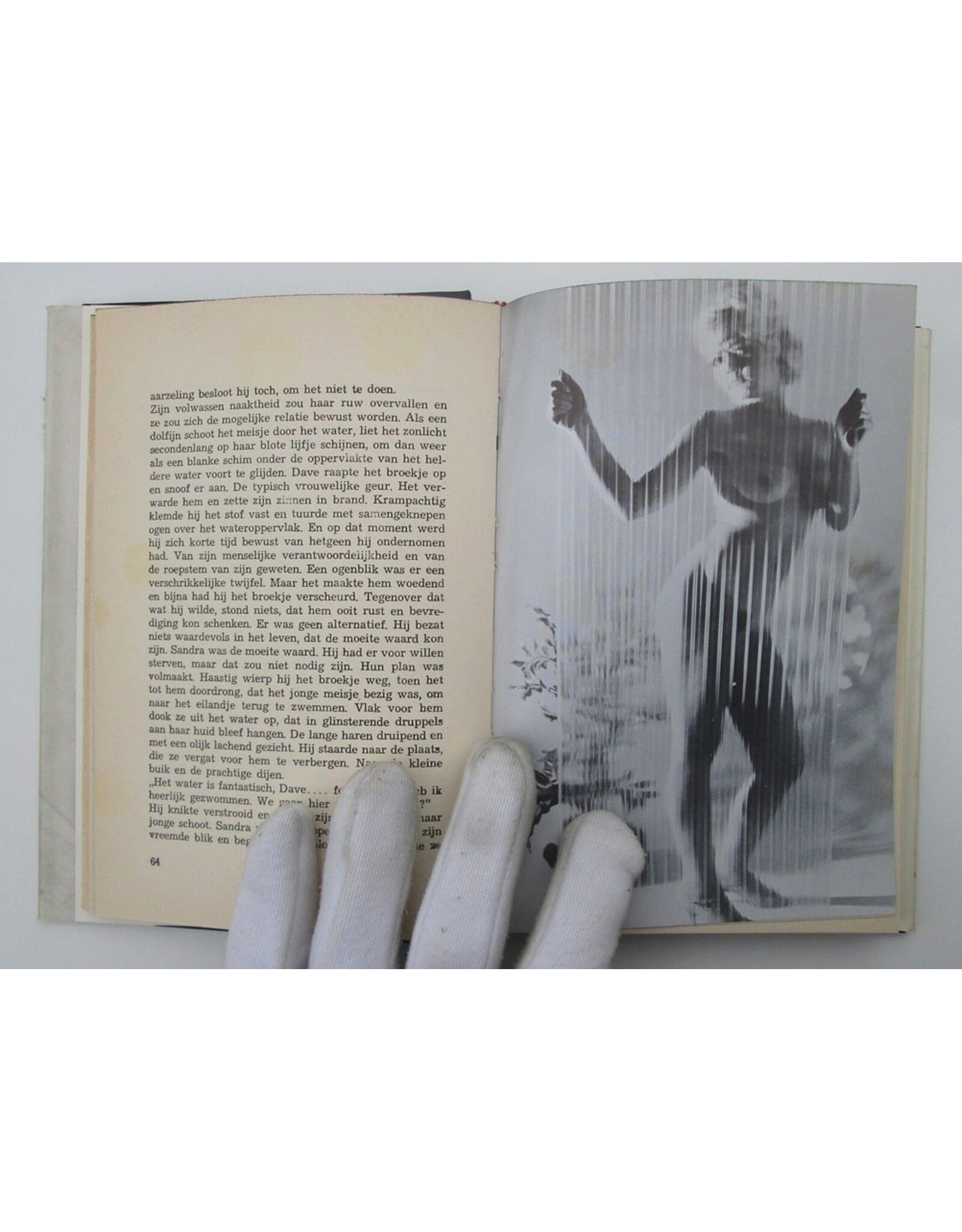 Richmond Ryker - De moerasmoorden