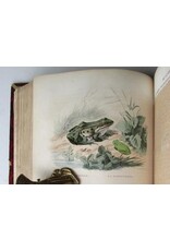 A.-G. Desmarest - Histoire Naturelle de Lacépède