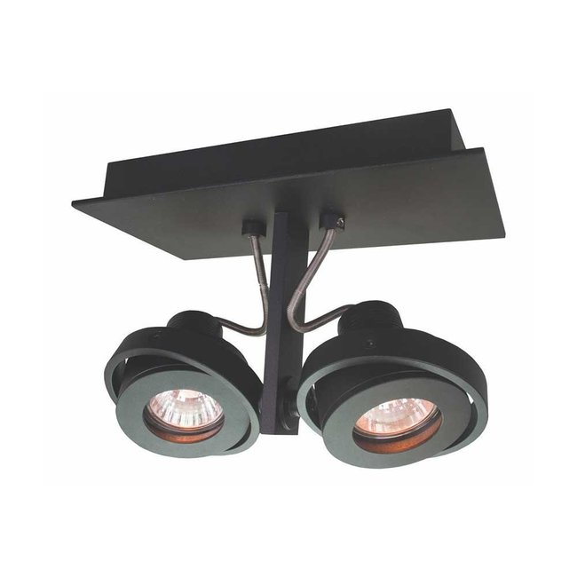 Artdelight Plafondlamp Meist 2L - Zwart