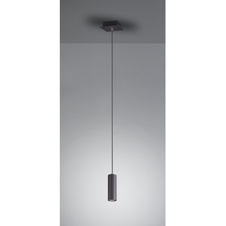 Trio Leuchten Hanglamp Marley - Zwart