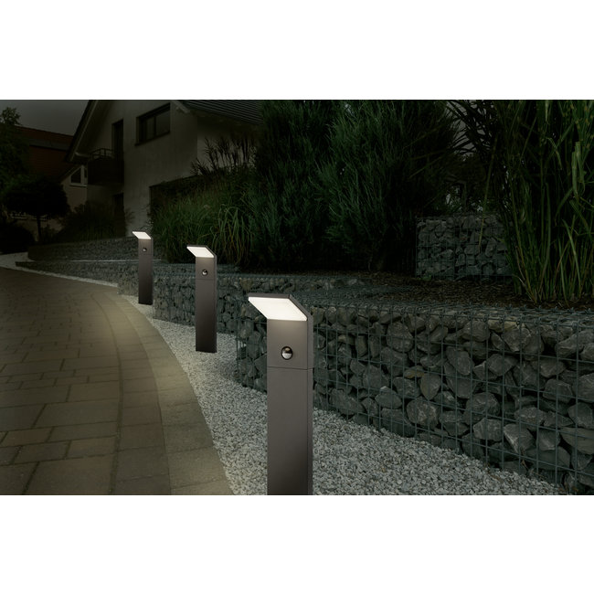 Trio Leuchten Buitenlamp Pearl 100cm - Antraciet