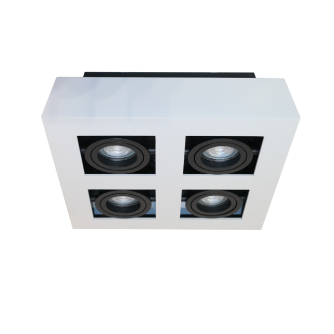 Artdelight Plafondlamp Bosco 4L - Wit/Zwart