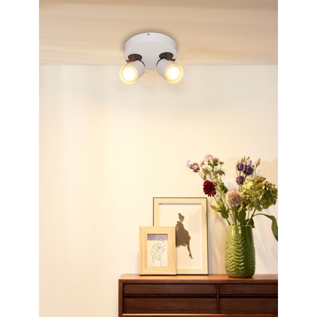 Artdelight Plafondlamp Vivaro 2L Rond - Wit