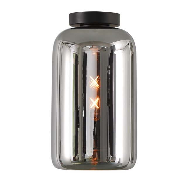 Artdelight Plafondlamp Botany - Titan