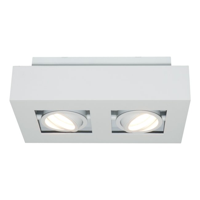 Artdelight Plafondlamp Bosco 2L - Wit