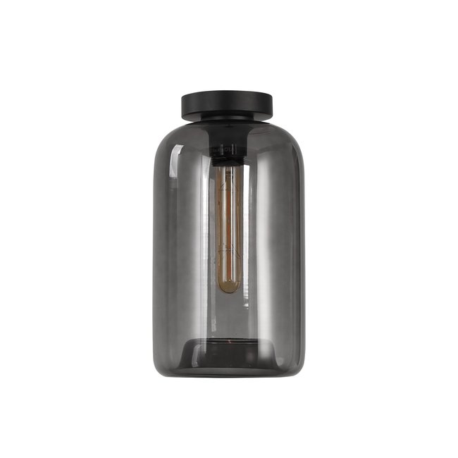 Artdelight Plafondlamp Botany - Smoke Grijs