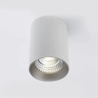 Lighting Collection Plafondlamp Lyra - Wit/Zilver