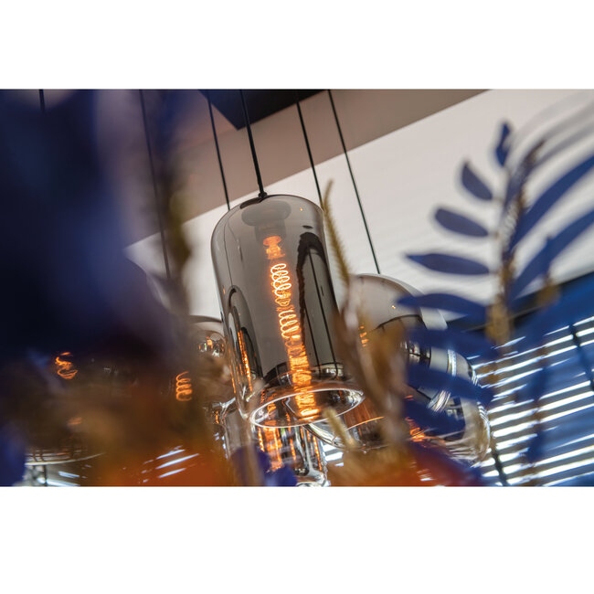 Artdelight Glas Botany - Titan