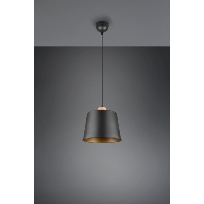 Trio Leuchten Hanglamp Harris 1L - Mat Zwart/Goud