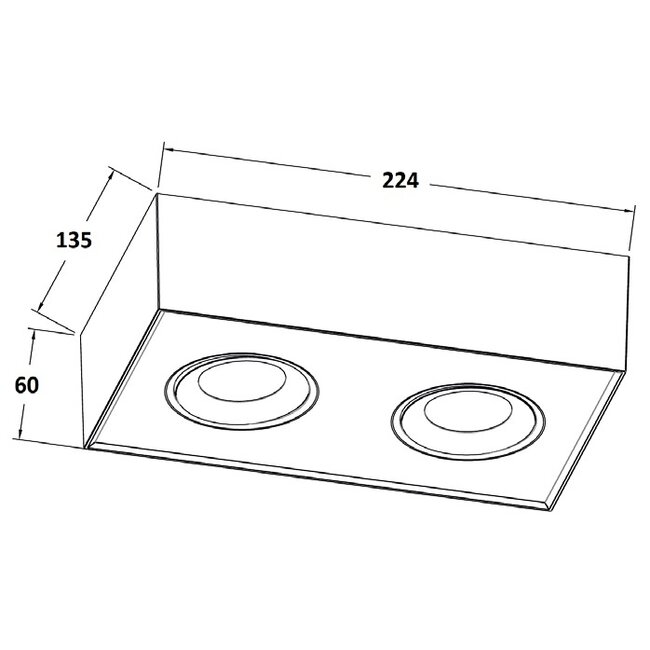 Artdelight Plafondlamp Brooklyn 2L - Zwart