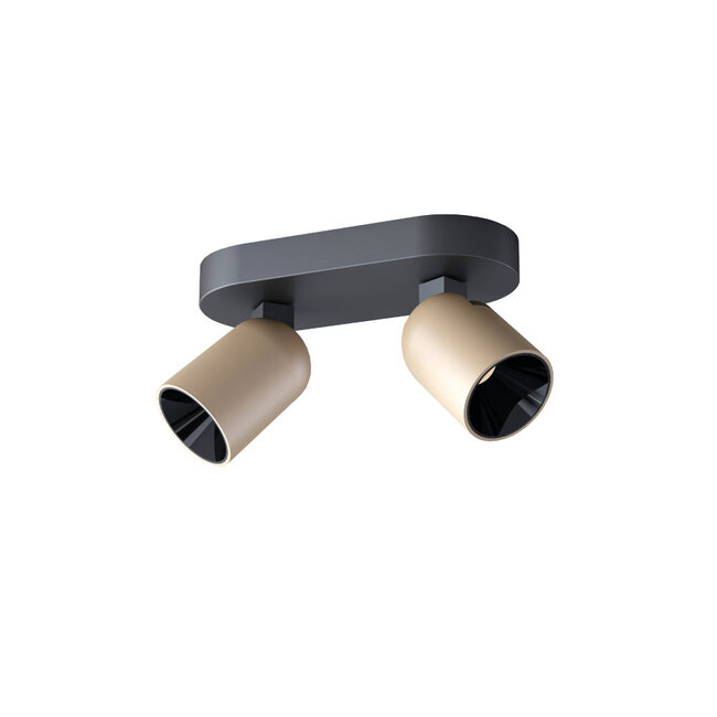 Artdelight Plafondlamp Houston 2L - Zwart/Champagne