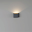 Artdelight Wandlamp Diaz 1L - Zwart/Mat Goud
