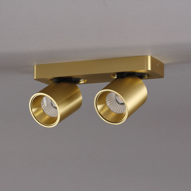 Artdelight Plafondlamp Laguna 2L - Goud