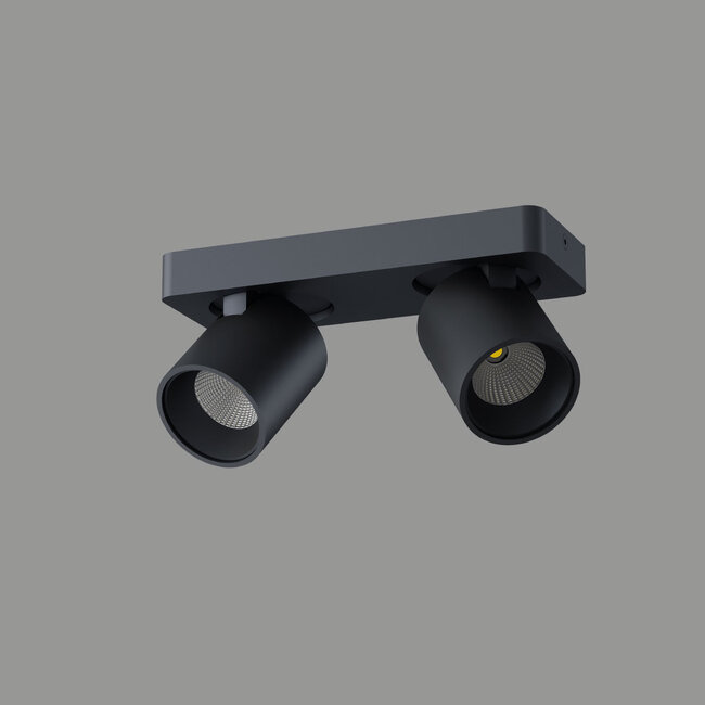 Artdelight Plafondlamp Laguna 2L - Zwart