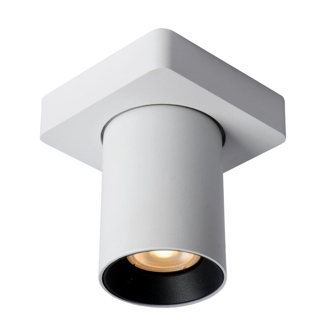 Artdelight Plafondlamp Megano 1L - Wit