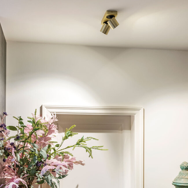 Artdelight Plafondlamp Megano 2L - Goud