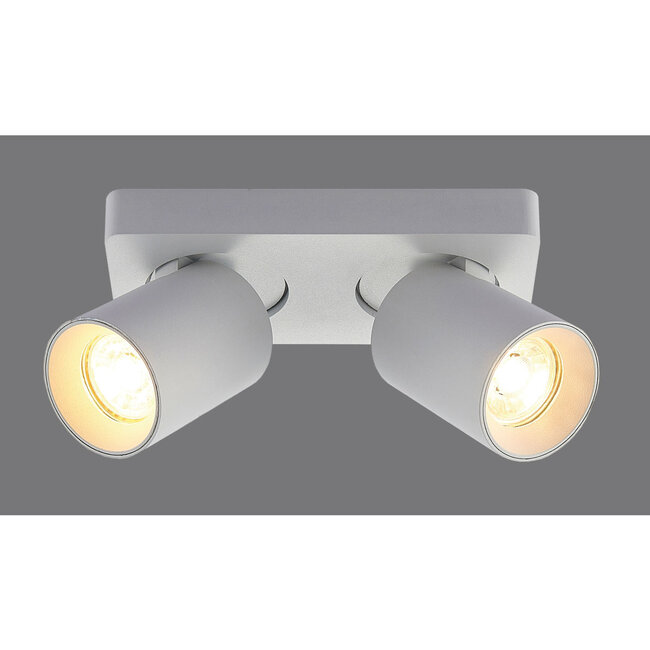 Artdelight Plafondlamp Megano 2L - Wit