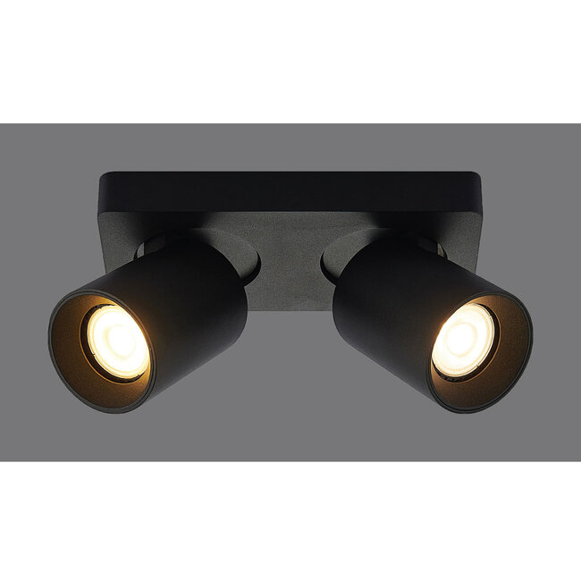 Artdelight Plafondlamp Megano 2L - Zwart