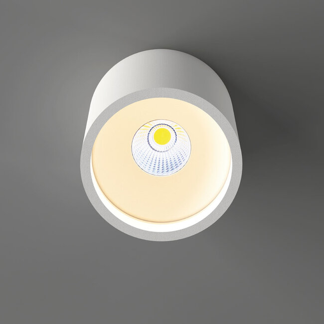 Artdelight Plafondlamp Orleans - Wit