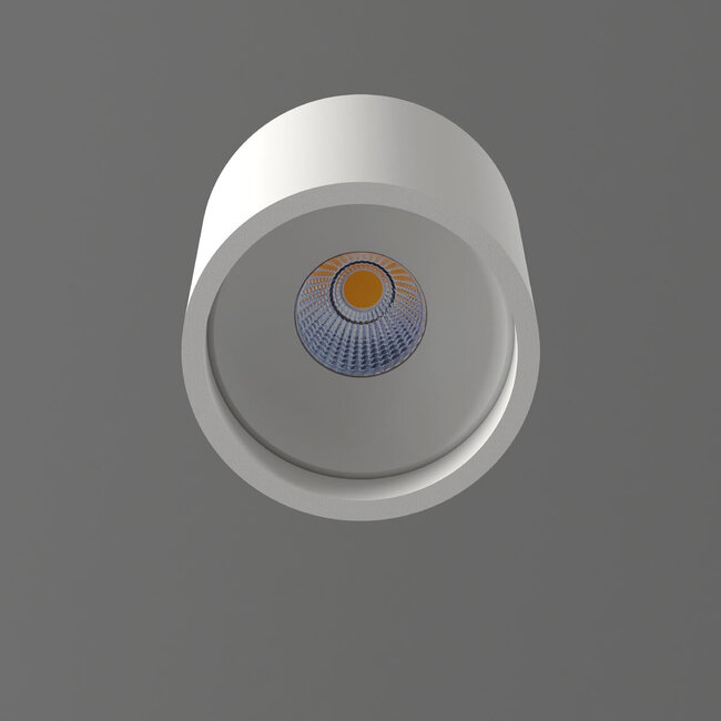 Artdelight Plafondlamp Orleans - Wit