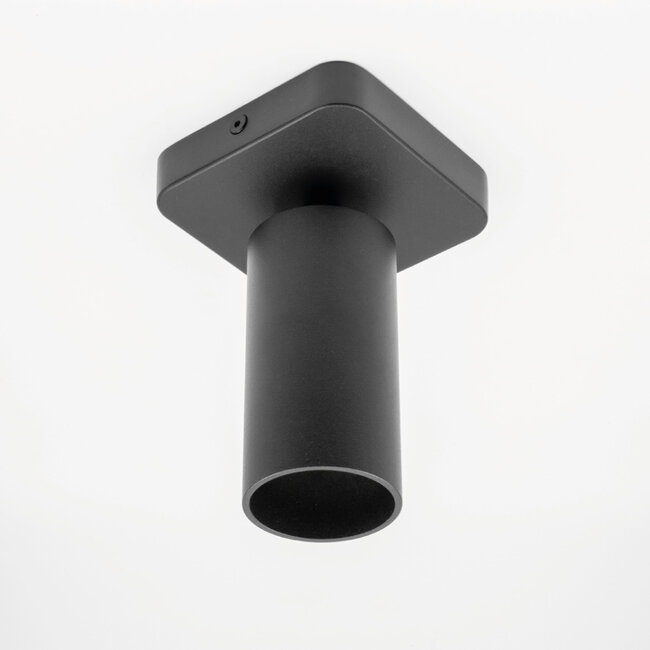 HELDR! Plafondlamp Ivy 1L - Zwart