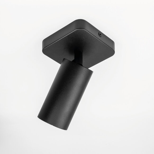 HELDR! Plafondlamp Ivy 1L - Zwart