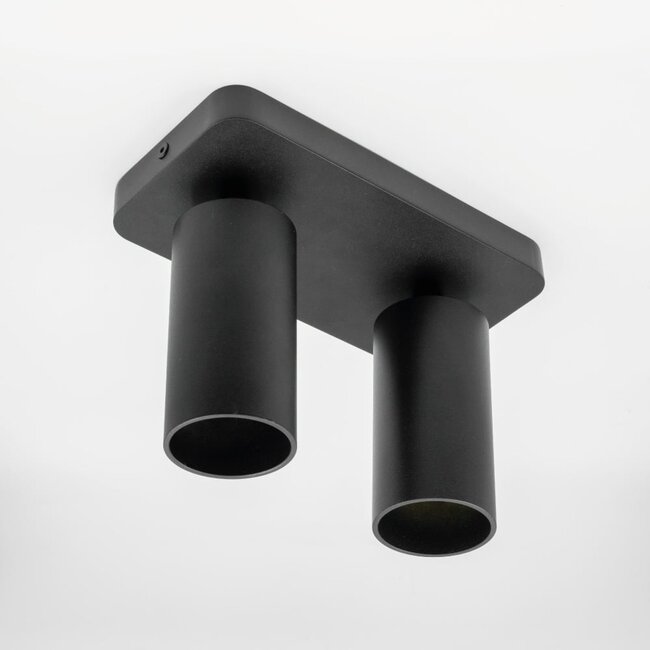 HELDR! Plafondlamp Ivy 2L - Zwart