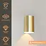 Artdelight Wandlamp Brody 1 - Goud