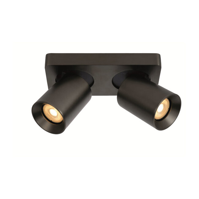 Artdelight Plafondlamp Megano 2L - Gun Metal