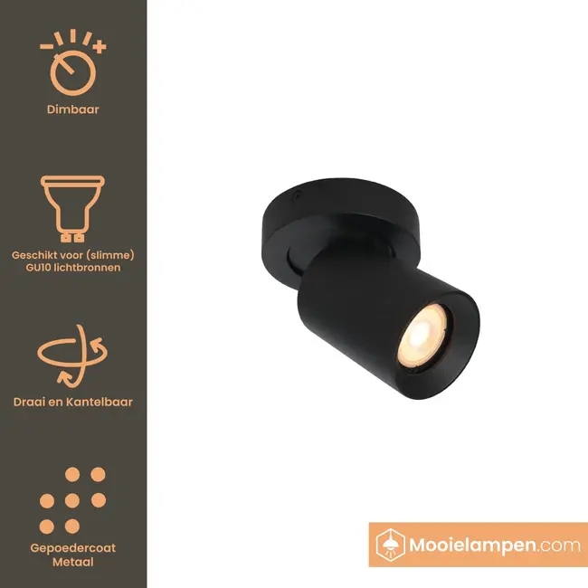 Artdelight Plafondlamp Megano 1L Rond - Zwart