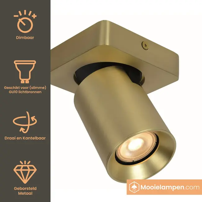 Artdelight Plafondlamp Megano 1L - Goud