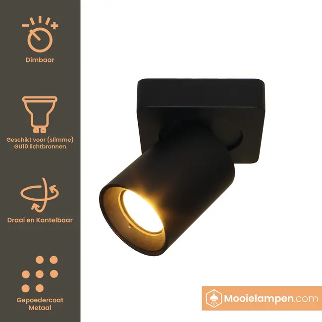 Artdelight Plafondlamp Megano 1L - Zwart