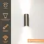 Artdelight Wandlamp Roulo 2 - Gun Metal
