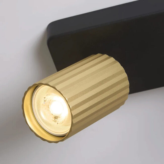 Lighting Collection Plafondlamp Anna 2L - Zwart/Goud