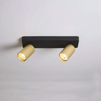 Lighting Collection Plafondlamp Anna 2L - Zwart/Goud