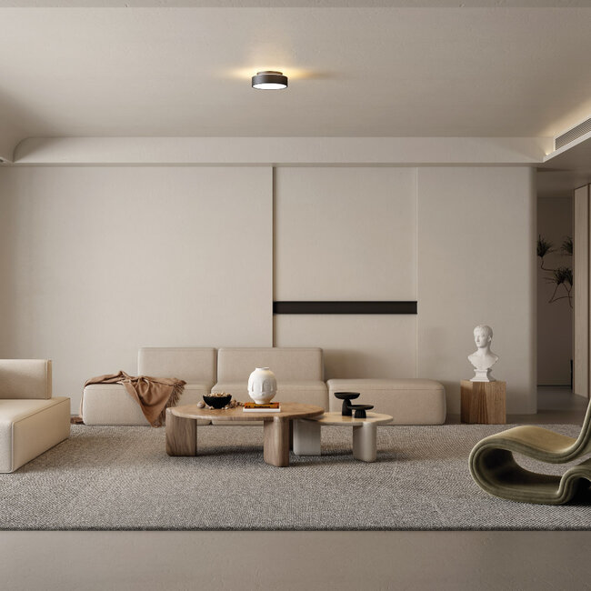 Artdelight Dali Plafondlamp Chicago 250 - Zwart