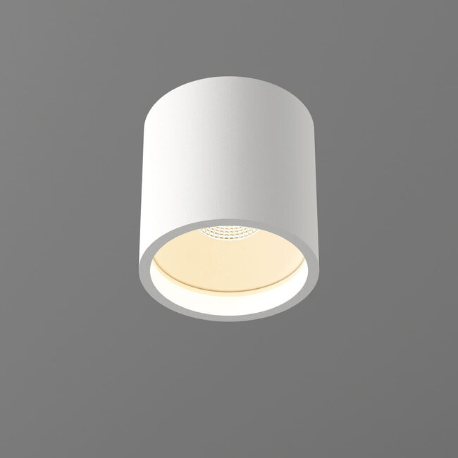 Artdelight Dali Plafondlamp Orleans - Wit