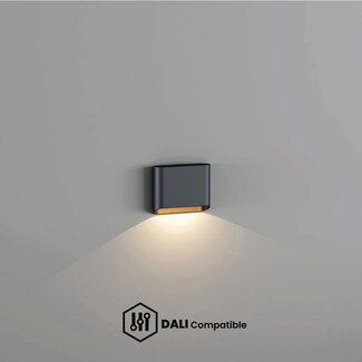 Artdelight Dali Wandlamp Diaz 1L - Zwart/Mat Goud